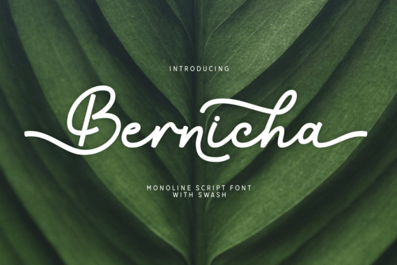 Bernicha: A Script Font That Builds Brand Trust