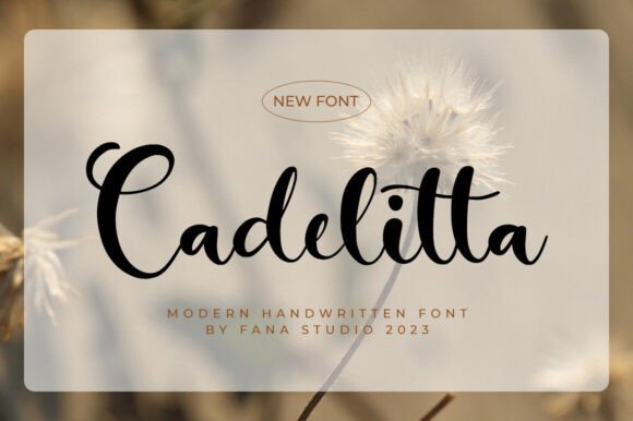 Cadelitta: A Script Typeface for Standout Marketing Visuals