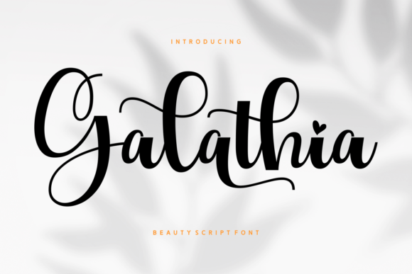 Galathia: A Script Font That Brings Warmth to Editorial Design