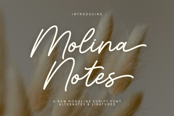 Molina Notes: A Modern Script Typeface for Digital Creators