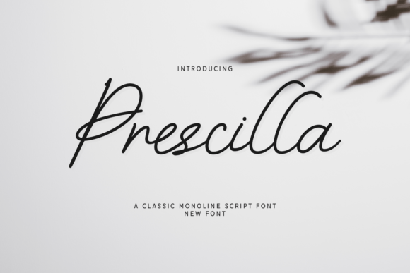 Prescilla Font: A Quietly Elegant Typeface for Editorial Storytelling